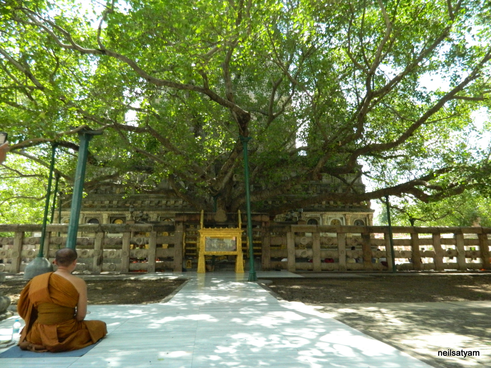 A monk meditating under the Bodhi tree at Bodh Gaya